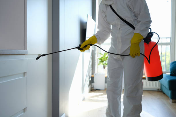 Crawl Space Mold Removal in Long View, NC