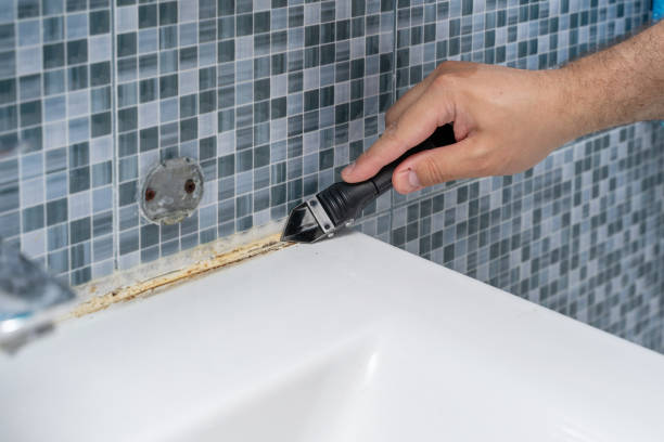 Best Same-Day Mold Removal  in Long View, NC