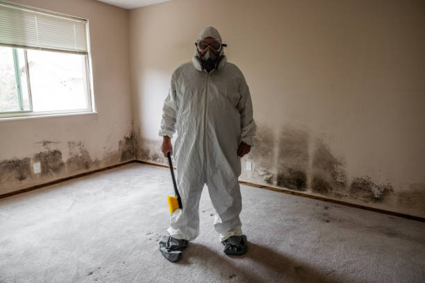 Reliable Long View, NC Mold Removal Solutions